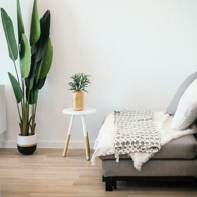 Home Staging: Come Rendere la Tua Casa più Attraente ai Compratori