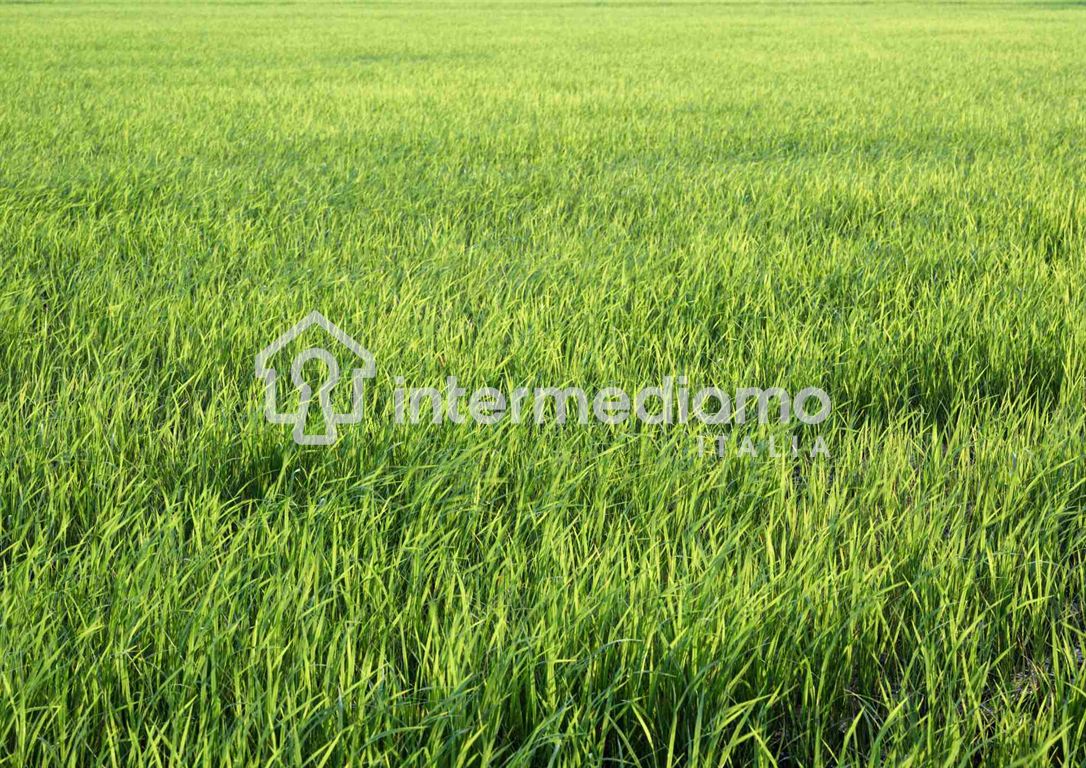 TERRENO AGRICOLO IN VENDITA