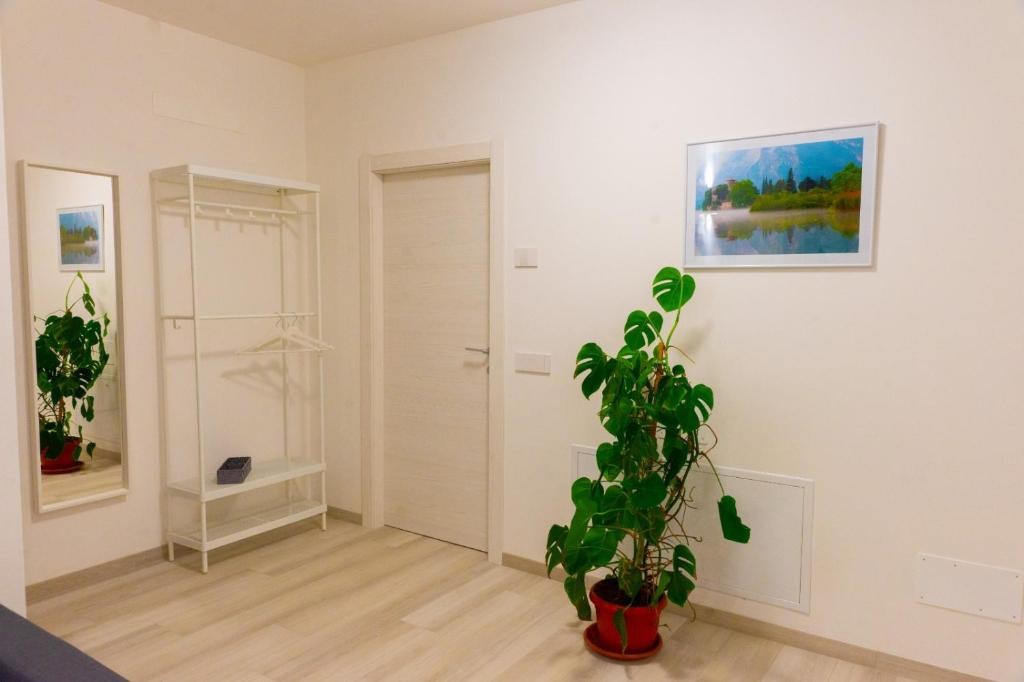 TRILOCALE ARREDATO IN AFFITTO – PIETRAMURATA - Appartamento Residenziale Dro